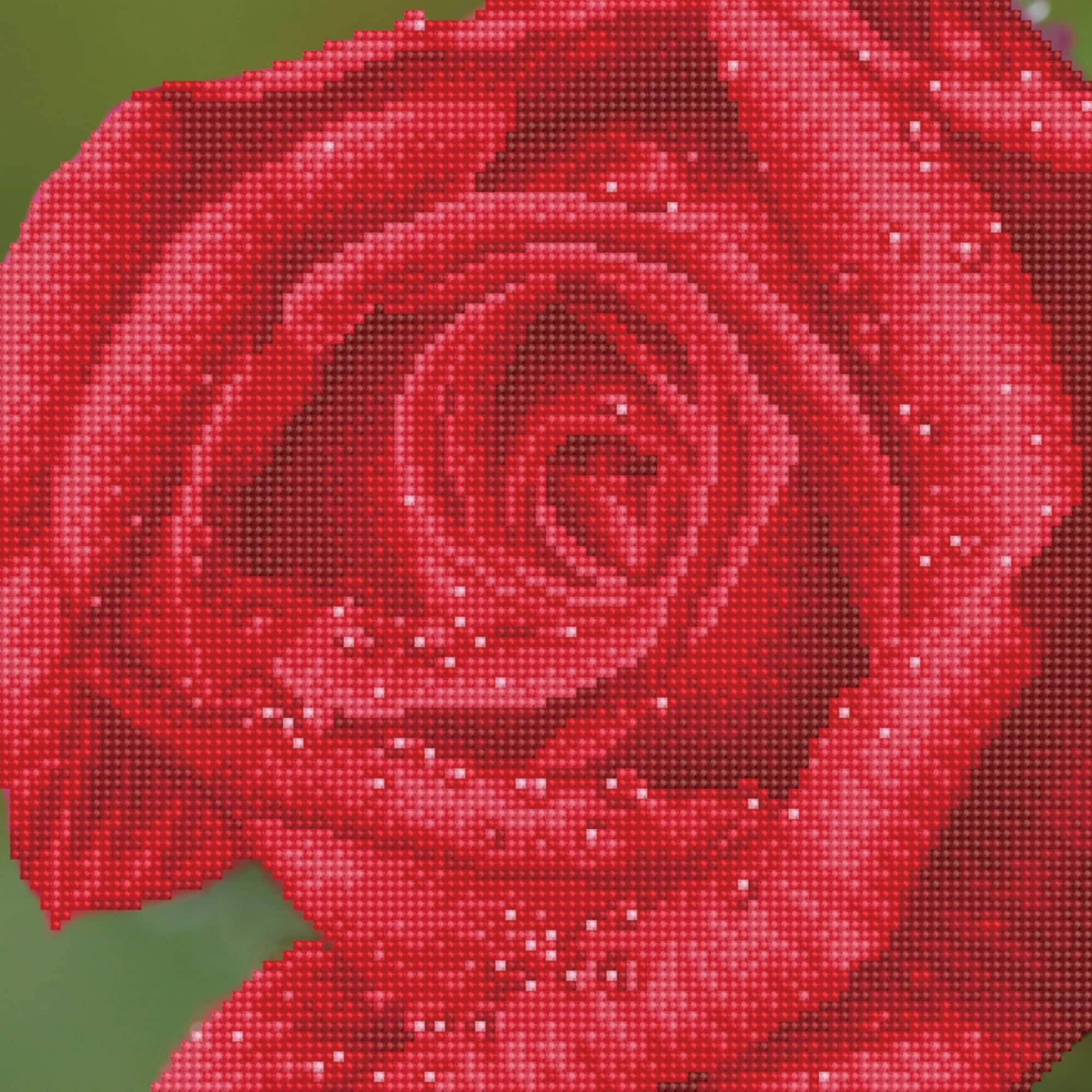 Diamond Dotz® Intermediate Rose Dew Diamond Facet Art Kit